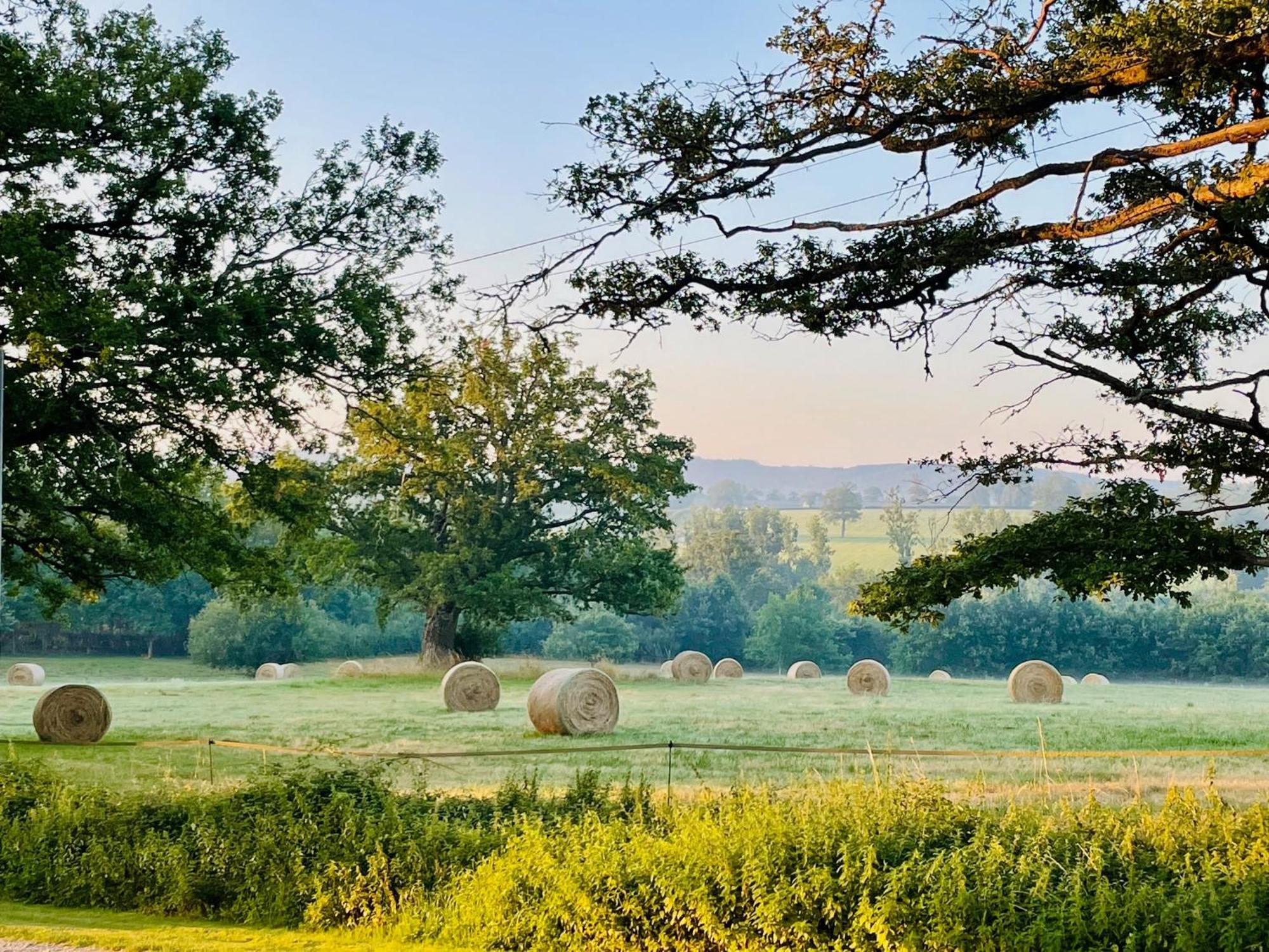 Domaine Le Rianon Malleret-Boussac Exterior foto