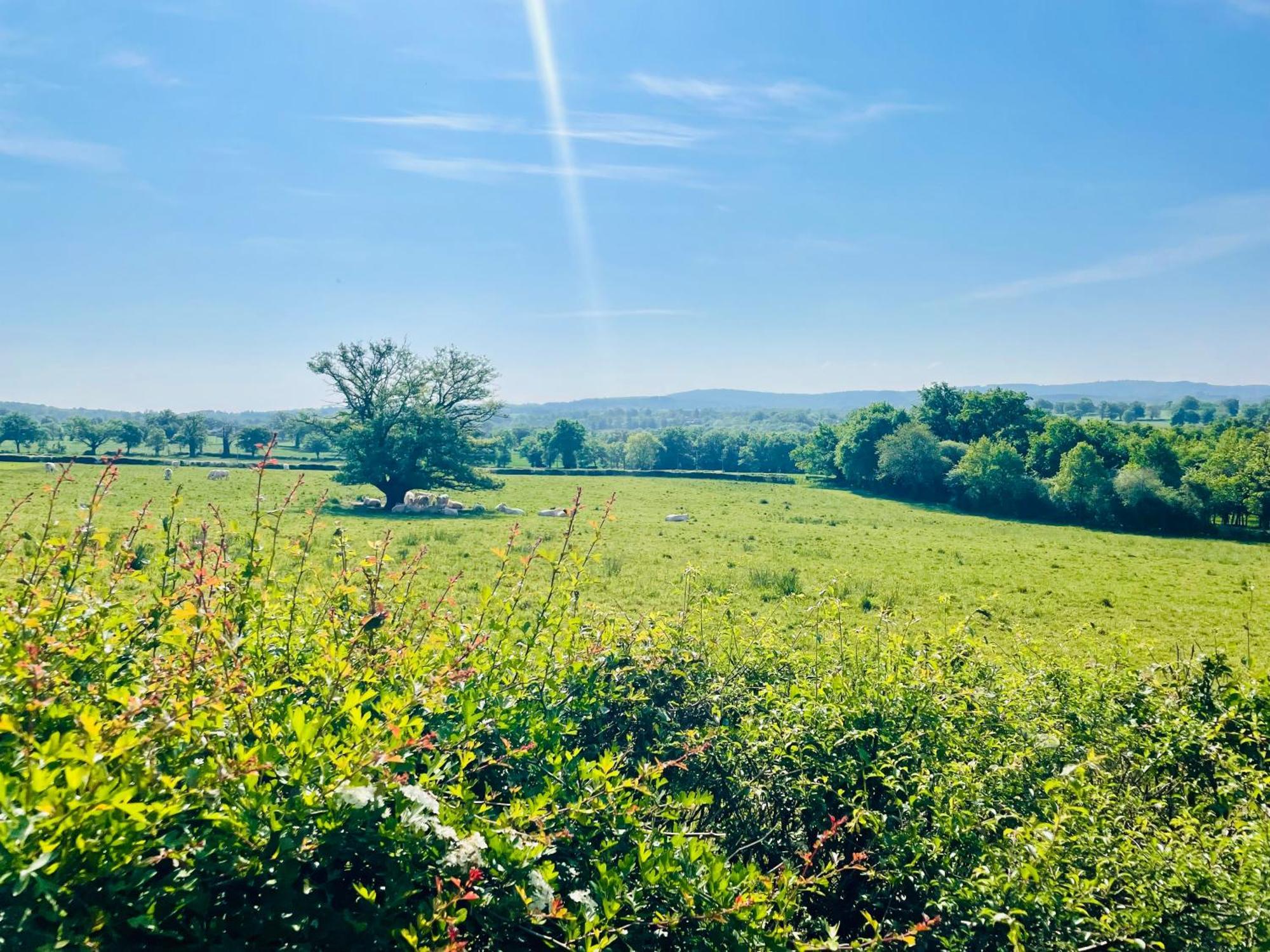 Domaine Le Rianon Malleret-Boussac Exterior foto